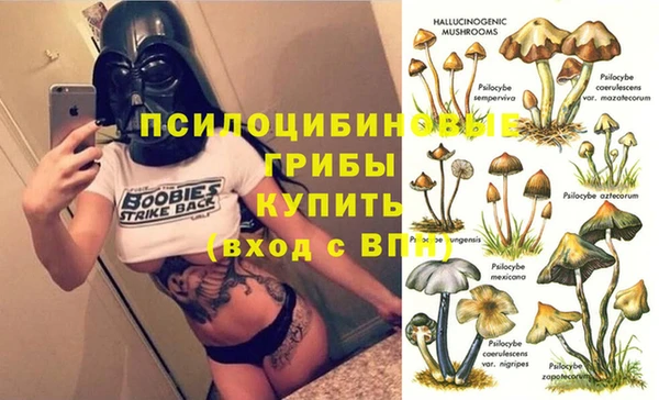 амф Верхний Тагил