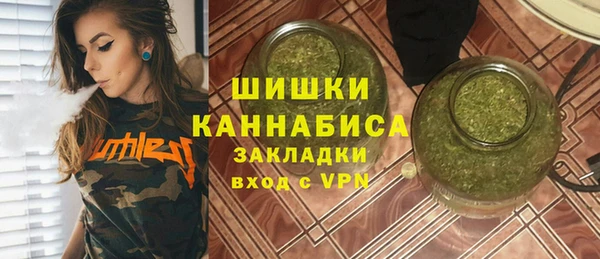 амф Верхний Тагил