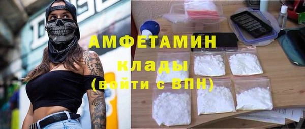 амф Верхний Тагил